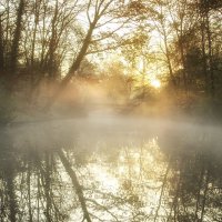 ****** :: Андроник Александр 