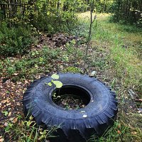 Знак беды для природы... :: Владимир 