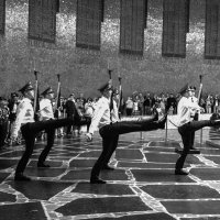 Смена караула :: Александр Силинский