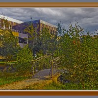 Новая Москва :: Владимир Кроливец Новая Москва :: Владимир Кроливец