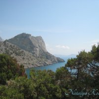 Природа Крыма :: Amazing Cosmea