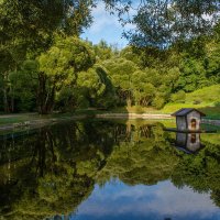 Отражение :: Владимир Жуков