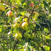 ,,, :: Сергей Тимоновский