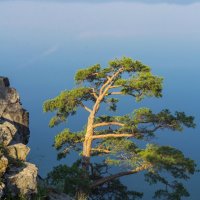 На берегу озера Тургояк. :: Алексей Трухин На берегу озера Тургояк. :: Алексей Трухин