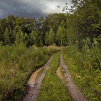 "Осенние дожди. Не подсыхает"© :: Владимир Макаров