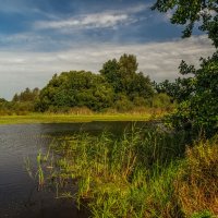 На исходе лета 5 :: Андрей Дворников На исходе лета 5 :: Андрей Дворников