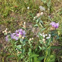 Уходит лето :: Svetlana 