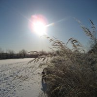 Утро :: Anna Ivanova