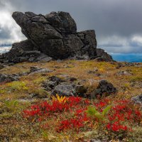 Моменты :: Евгений Тарасов 