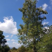 ПОХОД НА ЛАГО НАКИ :: Tata Wolf