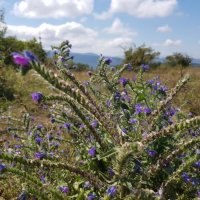 ПОХОД НА ЛАГО НАКИ :: Tata Wolf