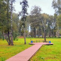 Начало осени в парке . :: Мила Бовкун Начало осени в парке . :: Мила Бовкун