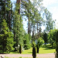 Карелия :: Любовь ***