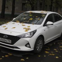 Hyundai в кленовых листьях :: Дмитрий Никитин