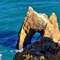 Крым :: Мария Яковлева