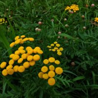 * * * :: Андрей Лукьянов