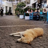 Грузия. Ночь в Тбилиси. Старый город. :: Ольга Довженко Грузия. Ночь в Тбилиси. Старый город. :: Ольга Довженко