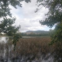 Осень в Жосалах :: Андрей Хлопонин Осень в Жосалах :: Андрей Хлопонин