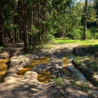 *** :: Владимир Безбородов *** :: Владимир Безбородов