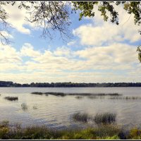 *** :: Aleksandr Gal