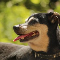 Не подходи ко мне. Я обиделась. :: Татьяна Бравая Не подходи ко мне. Я обиделась. :: Татьяна Бравая