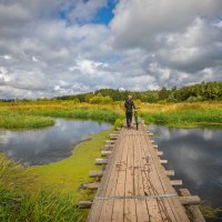 **** :: Елизавета .