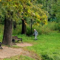 - Осень жизни, как и осень года, нужно благодарно принимать - :: Татьяна Помогалова