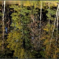 Осень наступила... :: Aleksandr Gal Осень наступила... :: Aleksandr Gal