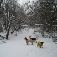 Прогулка :: Anna Ivanova