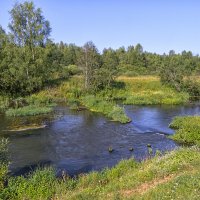 Речка Молокча :: Сергей Цветков Речка Молокча :: Сергей Цветков