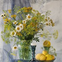 Натюрморт с абрикосами. :: Галина Левина