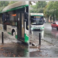 Дожди, дожди, доЖДИ... :: Татьяна Машошина