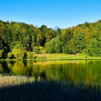 У осени своя красота. :: Милешкин Владимир Алексеевич У осени своя красота. :: Милешкин Владимир Алексеевич