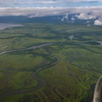 ... :: Жора Житников