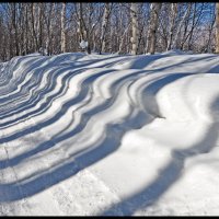 Март :: **** vedin Март :: **** vedin