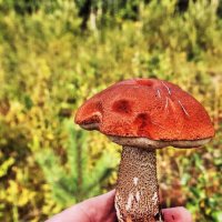 Август....Маленький, но удаленький! :: Владимир 