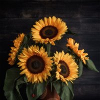 с подсолнухами :: Michel 