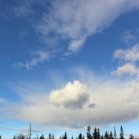 Облака :: Ольга 