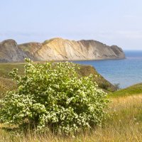 Весенний пейзаж :: Геннадий Валеев