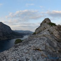 Природа Крыма :: Amazing Cosmea