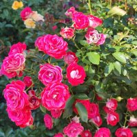 ,,, :: Сергей Тимоновский