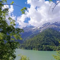 Озеро Рица :: Татьяна Пальчикова Озеро Рица :: Татьяна Пальчикова