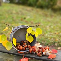 Дарв осени. :: Галина Левина