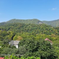 ГОРНЫЙ ПОСЕЛОК :: Tata Wolf