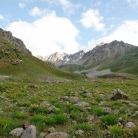 ПРИТОК ОЙГАИНГА. h- 2700м. :: Виктор Осипчук ПРИТОК ОЙГАИНГА. h- 2700м. :: Виктор Осипчук