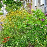 ГОРОД :: Юрий Владимирович 34 ГОРОД :: Юрий Владимирович 34