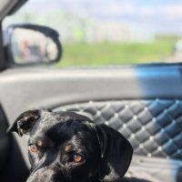 Солнечная осень :: Алексей Лукаев