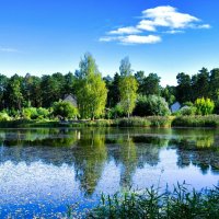 Осенний вечер в деревне. :: Милешкин Владимир Алексеевич 