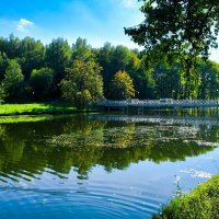 Осенний вечер в городском парке. :: Милешкин Владимир Алексеевич 