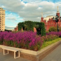 Осень на Манежнлй площади в фиолетовых цветах. :: Татьяна Помогалова Осень на Манежнлй площади в фиолетовых цветах. :: Татьяна Помогалова